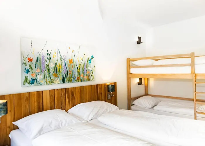 卡普伦冰川庄园公寓